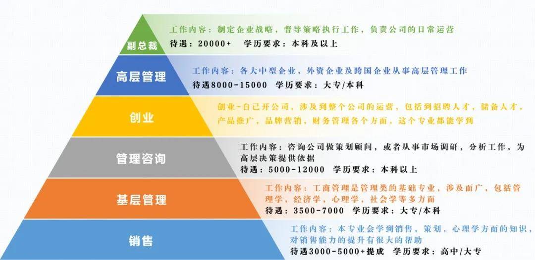工商企業(yè)管理專(zhuān)業(yè) 聚焦企業(yè)管理咨詢(xún)的職業(yè)路徑解析